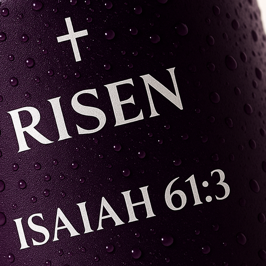 Isaiah 61:3